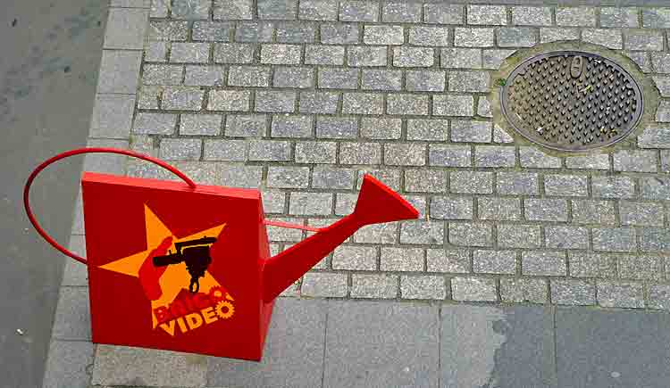 conseils jardinage conseils jardinage